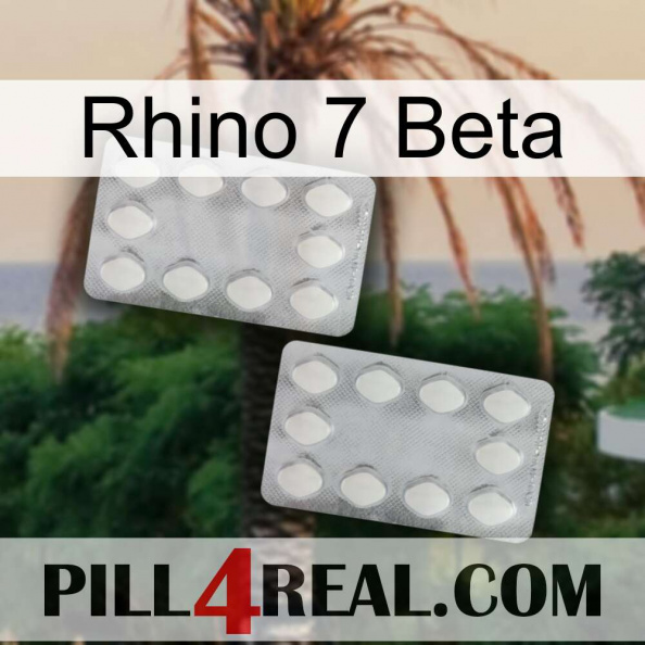 Rhino 7 Beta 17.jpg